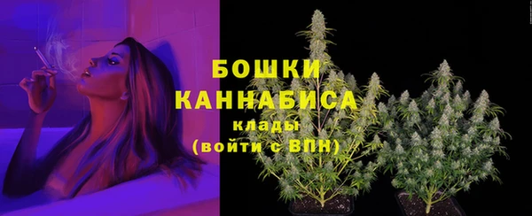 дживик Медногорск