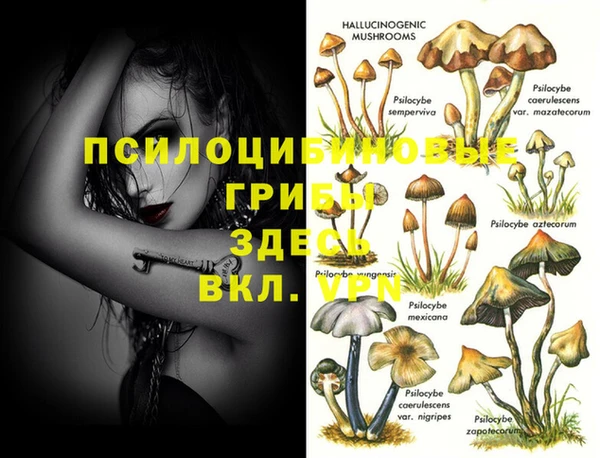 дживик Медногорск