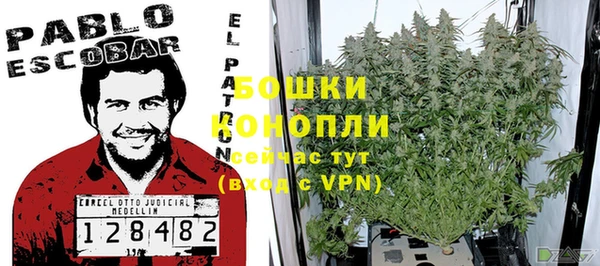 спайс Медвежьегорск