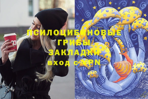 винт Мегион